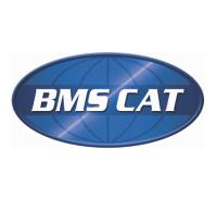 BMS CAT & Diamond Restoration image 1